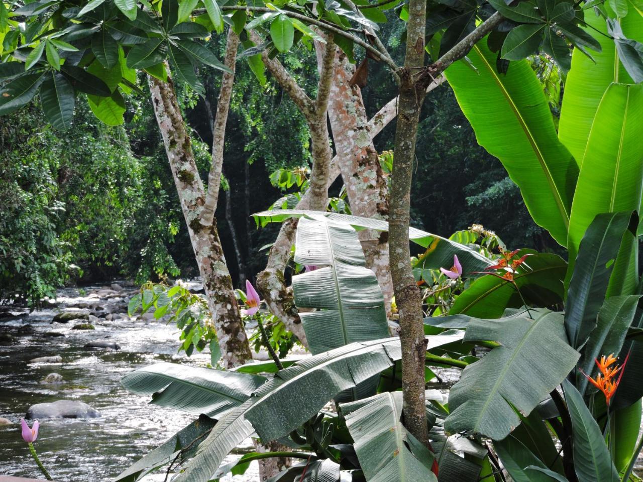 Pousada Da Cachoeira Taquari Paraty Exterior foto